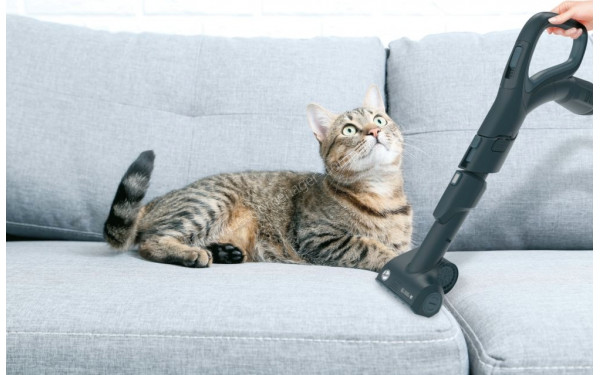 HOOVER HP720PET - Mise en situation