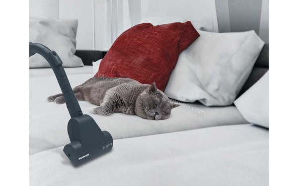 HOOVER KS50PET - Vue de la mini turbobrosse