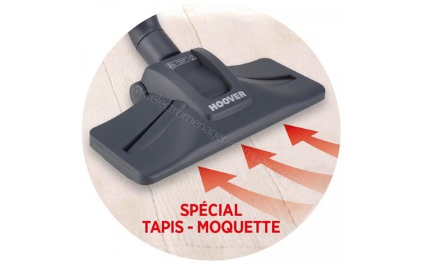 HOOVER RC51PET - Vue de la 3&egrave; brosse (cr&eacute;dit : Darty)