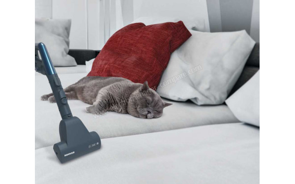 HOOVER RC60PET - Vue de la mini turbobrosse 