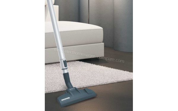 HOOVER TE29PAR - Vue de la brosse principale