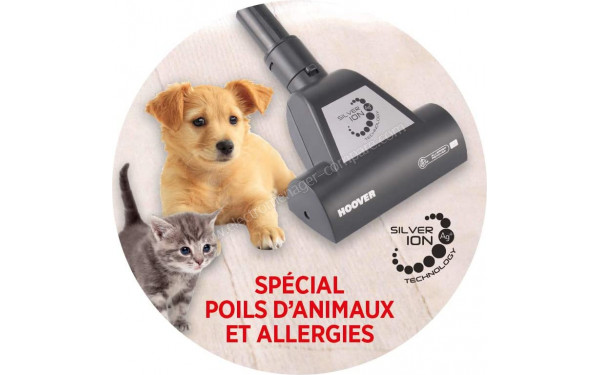 HOOVER TE70_TE69 - Vue de la Mini turbobrosse