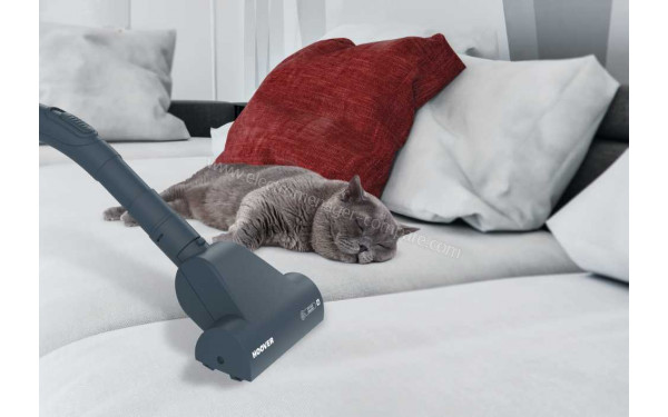 HOOVER TE71PET - Vue de la mini turbobrosse