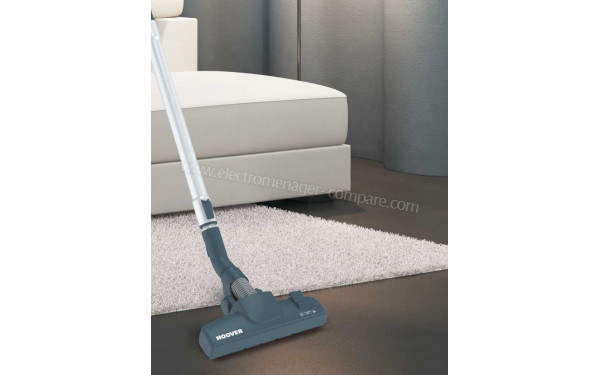 HOOVER TE80PET - Vue de la brosse principale