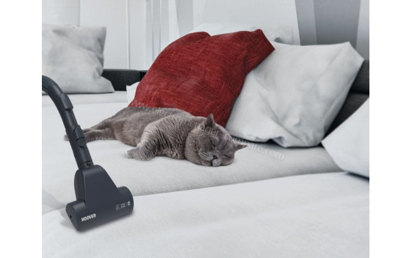 HOOVER TX42PET - Vue de la mini turbobrosse
