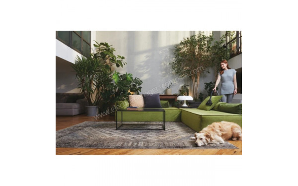 HOOVER TXL80PET - Mise en situation