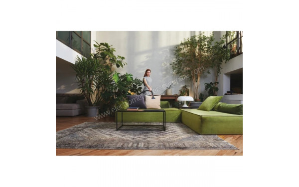 HOOVER TXL80PET - Mise en situation