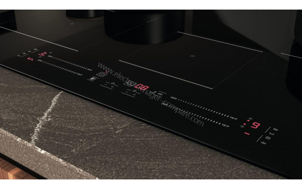 HOTPOINT HS 1377C CPNE - Panneau de commandes