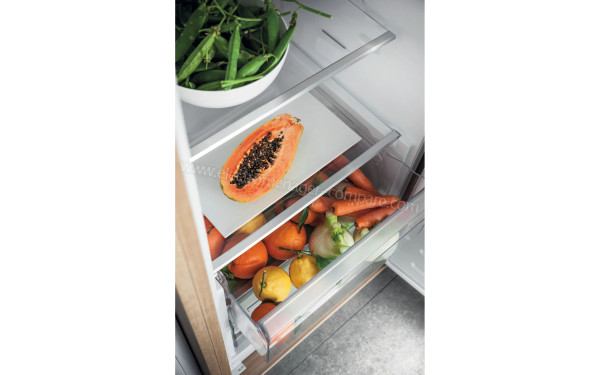 HOTPOINT ZSB18012 - Clayettes et bac fra&icirc;cheur