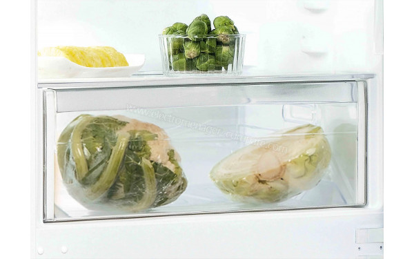 INDESIT IND402 - Bac fra&icirc;cheur