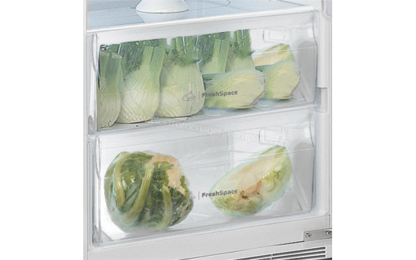 INDESIT INS18012 - Bacs fra&icirc;cheurs