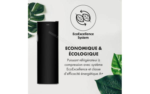 KLARSTEIN Bigboy 323 L Noir - Economique & Ecologique