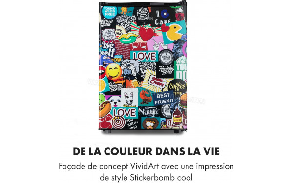 KLARSTEIN Cool Vibe 70 L - Design VividArt