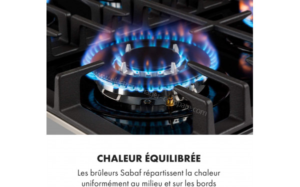 KLARSTEIN Victoria Noir - Zoom sur un foyer &agrave; gaz