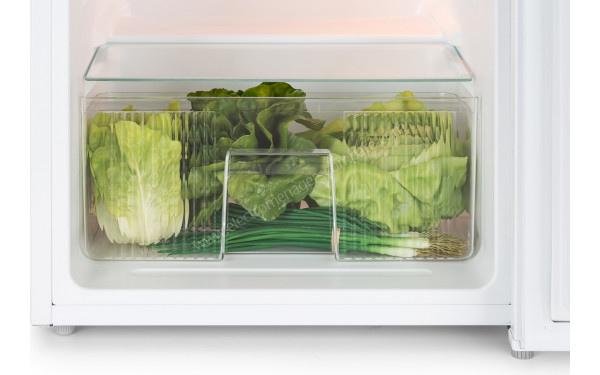 KLARSTEIN Big Daddy Cool 87 L Blanc 2021 - Vue du bac &agrave; l&eacute;gumes