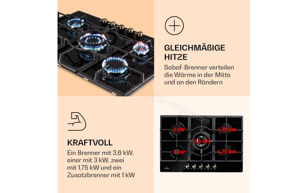 KLARSTEIN Victoria 5 Noir - Zoom sur les foyers &agrave; gaz