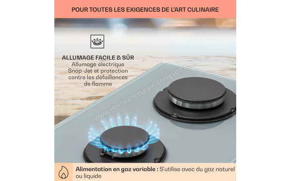 KLARSTEIN Firetale 2 Gris - Zoom sur les foyers &agrave; gaz