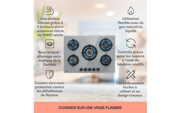 KLARSTEIN Firetale 5 Gris - Zoom sur les foyers &agrave; gaz