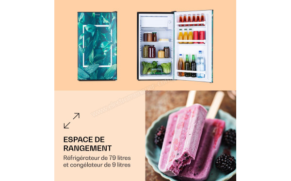 KLARSTEIN CoolArt 79 L Forest 2024 - Vue de face et de l'int&eacute;rieur