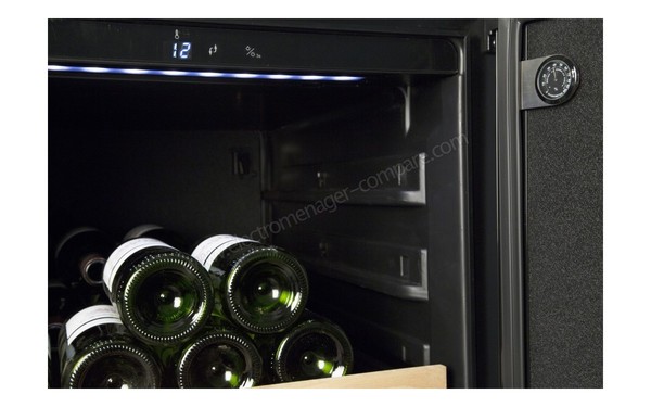 LECELLIER WLCAV23NF - Vue des commandes