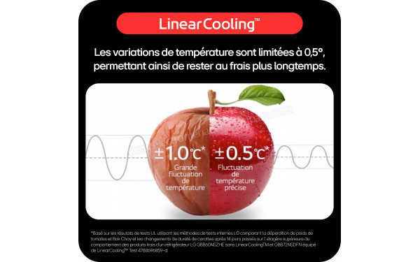 LG GBG5160CEV - LinearCooling