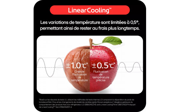 LG GTBV20SWGKD v2 - Technologie Linear Cooling
