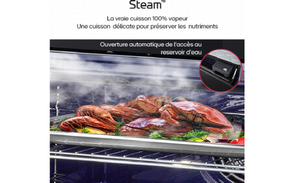 LG WS9D7694CM - Fonction Steam