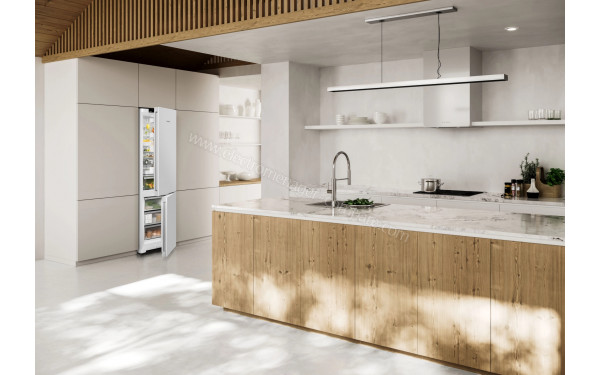 LIEBHERR CNd 5723-20 - Mise en situation