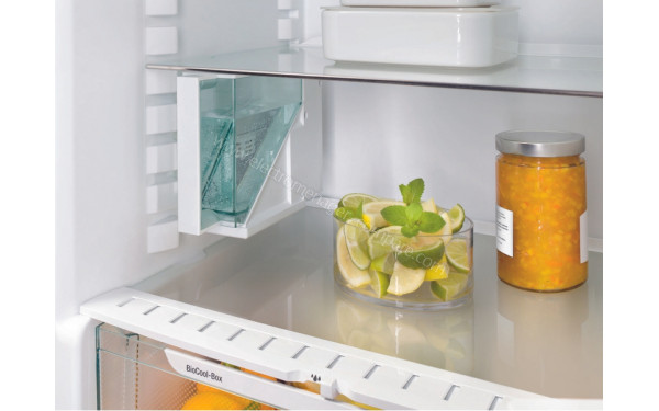 LIEBHERR CNef 4845-20 - Mise en situation