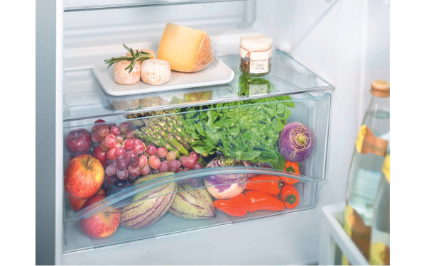 LIEBHERR CTP251-21 - Bac fra&icirc;cheur