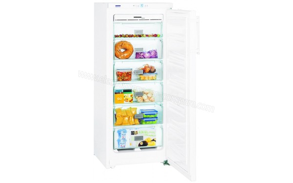 LIEBHERR GNP 2313-21 - Vue de l'int&eacute;rieur (n&deg;2)