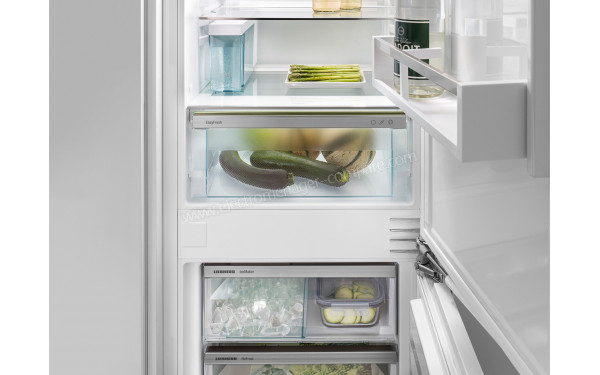 LIEBHERR ICNe5133-20 - Vue de l'int&eacute;rieur (cr&eacute;dit : Darty)