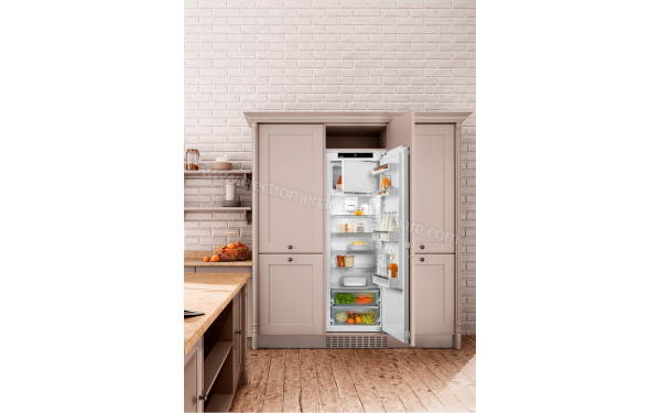 LIEBHERR IRe 1784 - Mise en situation