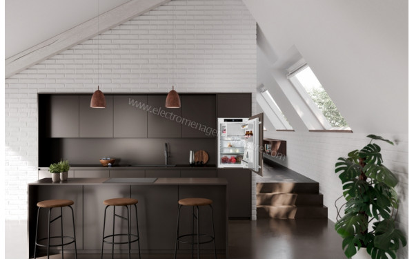 LIEBHERR IRf 3901 - Mise en situation