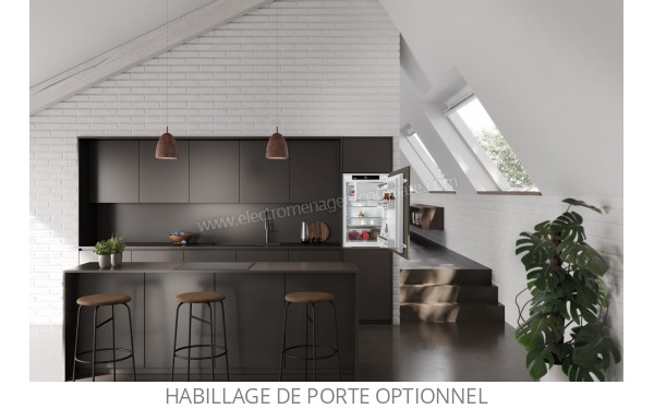 LIEBHERR IRSe 3901-22 - Mise en situation