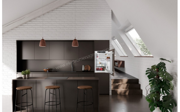 LIEBHERR IRSf 3901 - Mise en situation