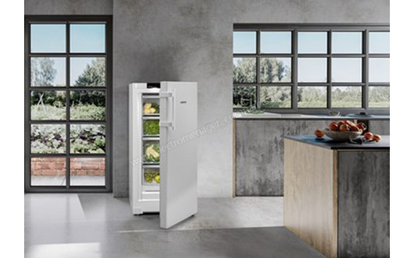 LIEBHERR RBa 4250-20 - Mise en situation