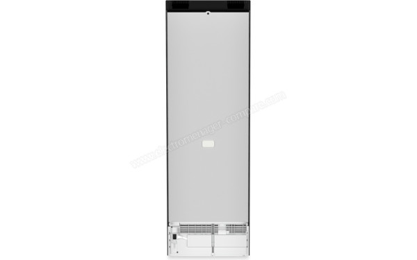 LIEBHERR RBbsc 5250-20 - Vue de l'arri&egrave;re