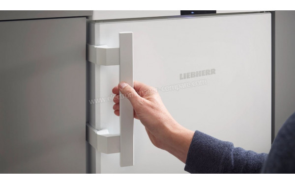 LIEBHERR Rdi 1620-20 - Zoom sur la poign&eacute;e