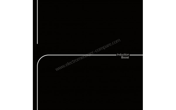 LINARIE LS60I3Z - Zoom sur le foyer Induction