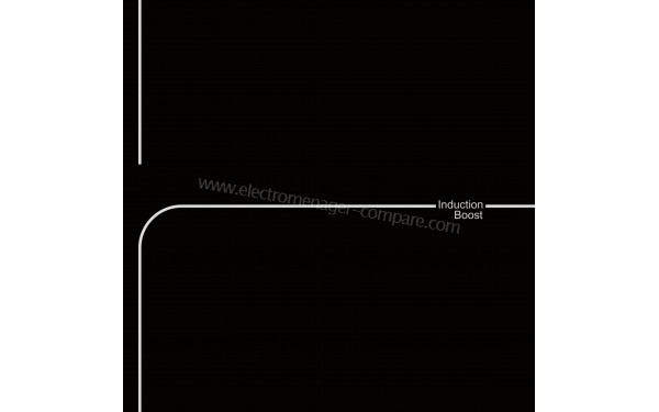 LINARIE LS80I2F1Z - Zoom sur le foyer Induction