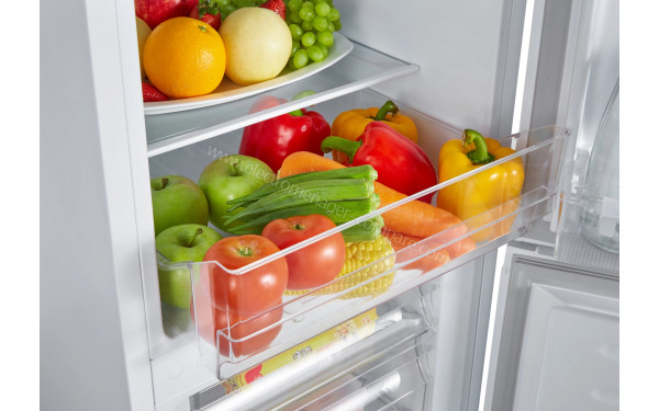 LISTO RCL145-50b4 - Bac fra&icirc;cheur