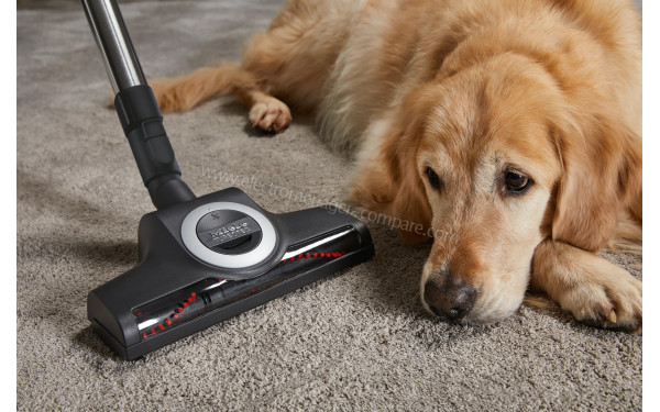 MIELE Blizzard CX1 Gris Cat&Dog Flex PowerLine SKCF5 - Brosse