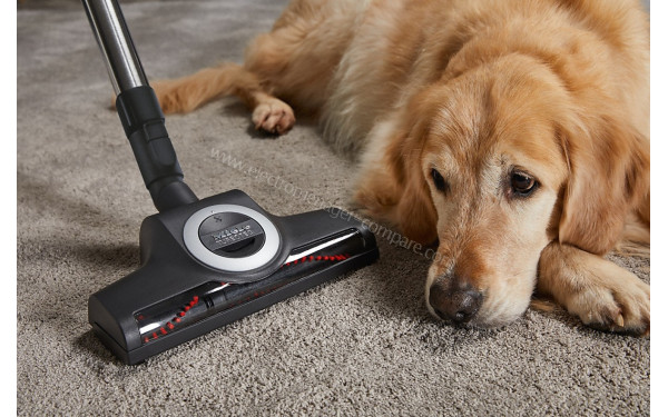 MIELE Blizzard CX1 Rouge Cat&Dog PowerLine SKCF5 - Brosse