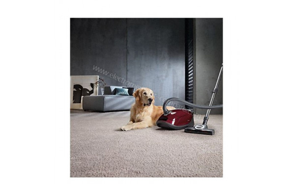 MIELE Complete C3 Rouge Cat&Dog PowerLine SGEF5 - Mise en situation