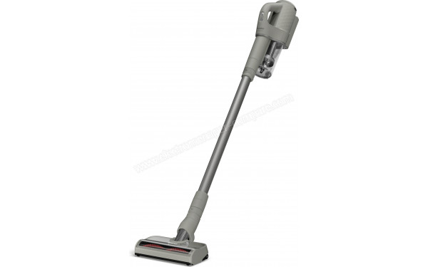 MIELE Duoflex HX1 CarCare Gris SQLL0 - Vue 3/4 droite