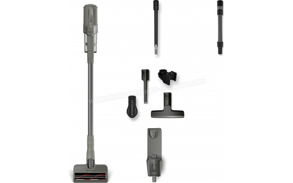 MIELE Duoflex HX1 CarCare Gris SQLL0 - Vue d'ensemble