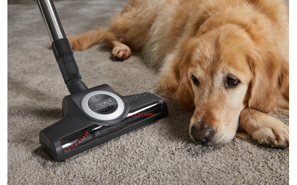 MIELE Complete C3 Rouge Cat&Dog Flex PowerLine SGEF5 - Mise en situation