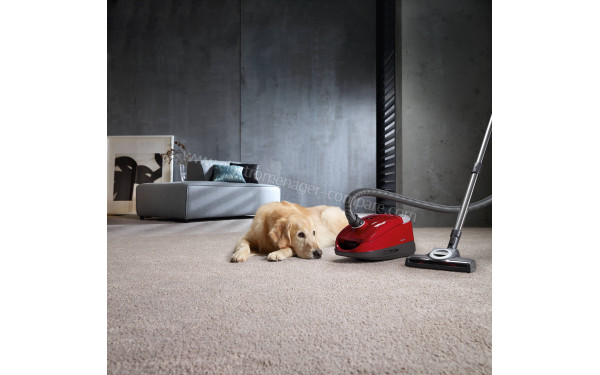 MIELE Compact C2 Rouge Cat&Dog PowerLine SDBF5 - Mise en situation