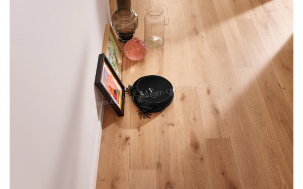 MIELE Scout RX3 Noir - Mise en situation